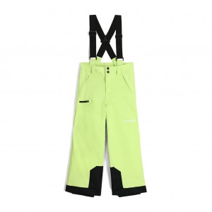 Lime Ice Spyder Boys Propulsion Insulated Pant | JCL-258306