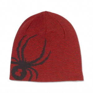 Volcano Spyder Reversible Innsbruck Beanie | JHY-691452