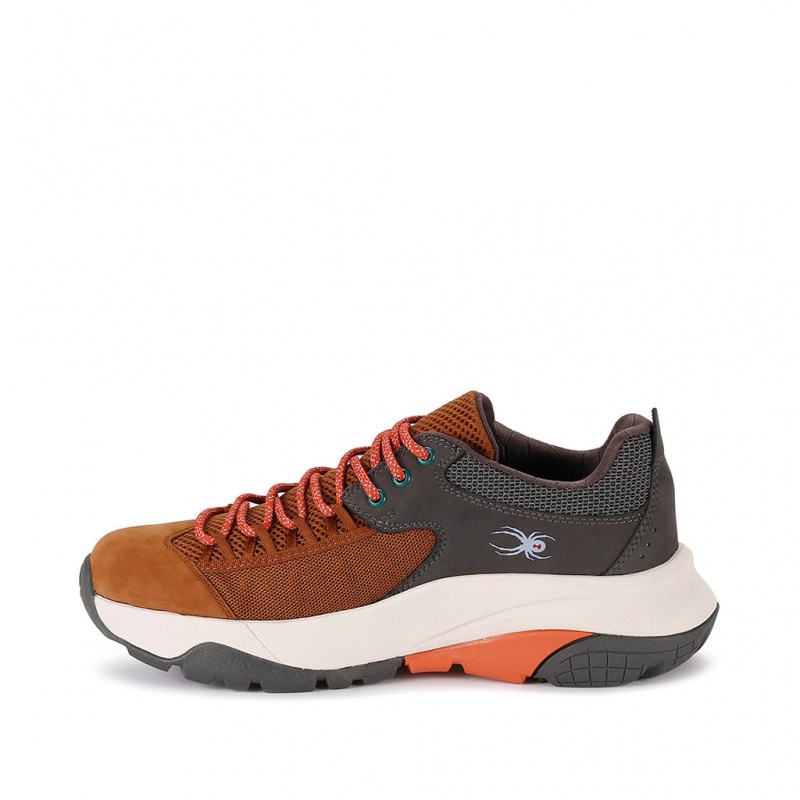 Brown Spice Spyder Boundary Shoes | OGC-381072