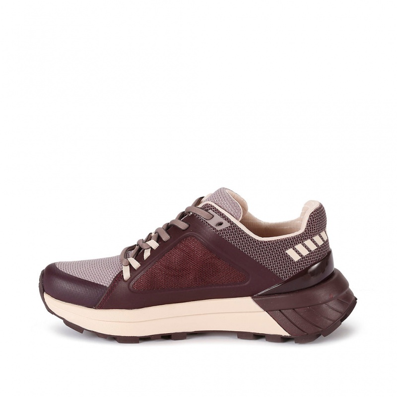 Clay Purple Spyder Indy Sneakers | QNE-347295