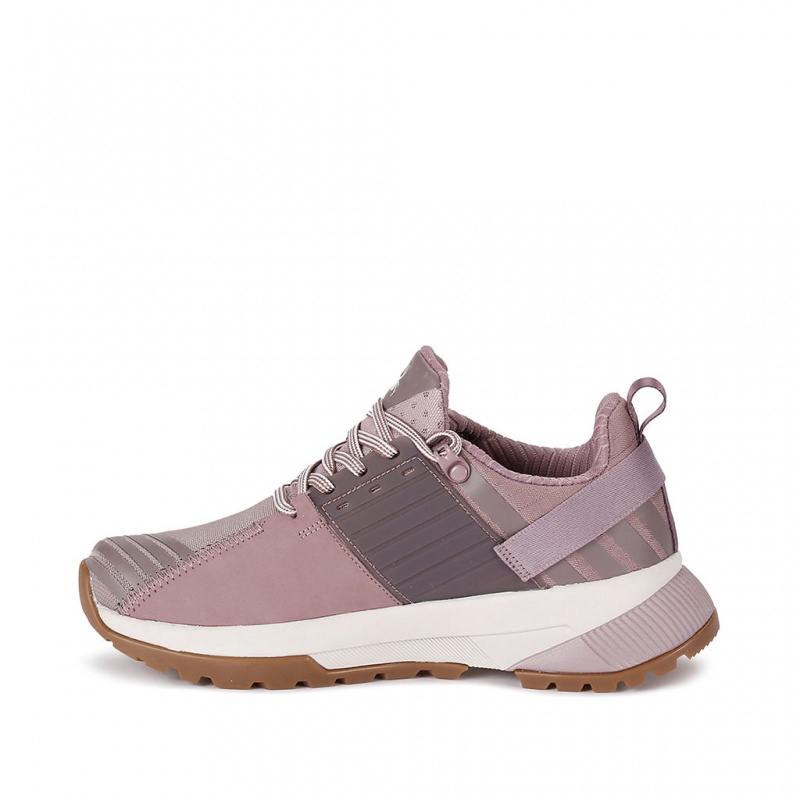 Clay Purple Spyder Shasta Shoes | YNE-097186