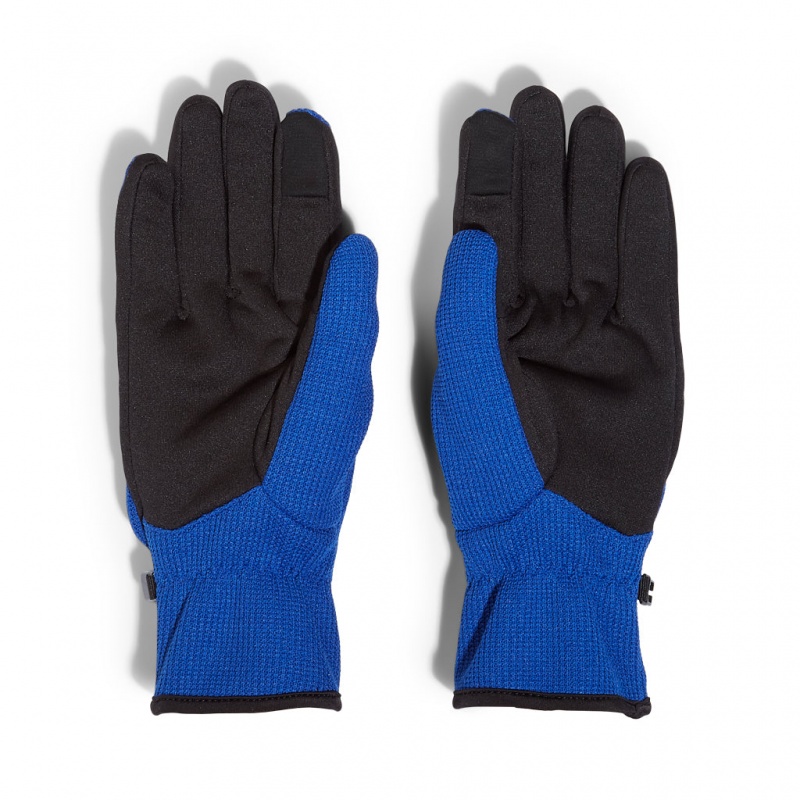 Electric Blue Spyder Bandit Glove | VBG-714956