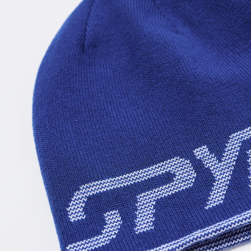 Electric Blue Spyder Boys Reversible Bug Beanie | CNI-958423