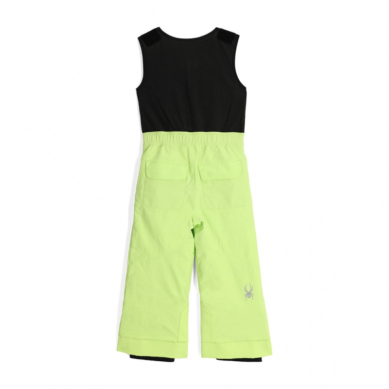 Lime Ice Spyder Boys Expedition Insulated Pant | AQU-169072