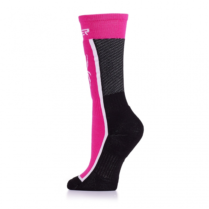 Pink Spyder Boys Sweep Sock | RDN-351267