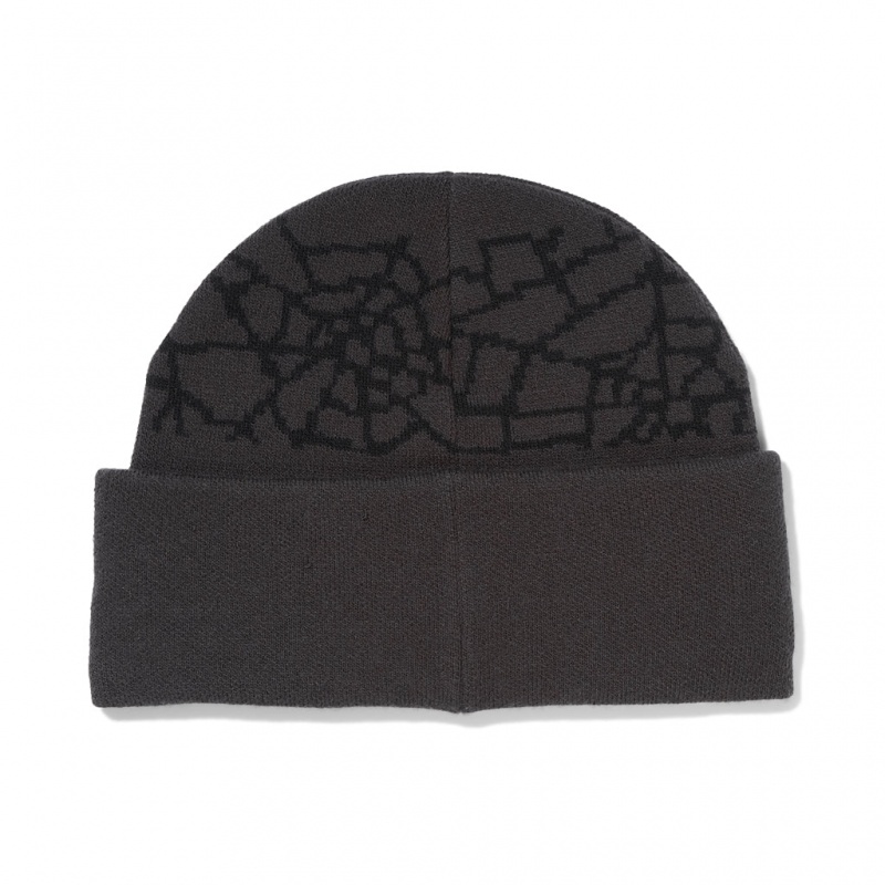 Polar Spyder Nebula Beanie | WVO-513928