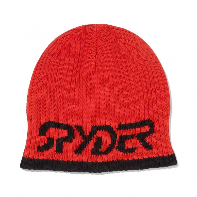 Volcano Spyder Logo Beanie | CEB-018572